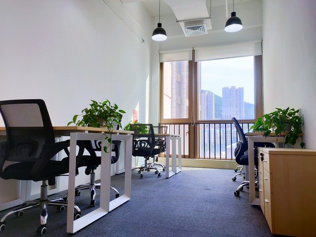 上海法式卷盘推荐货源